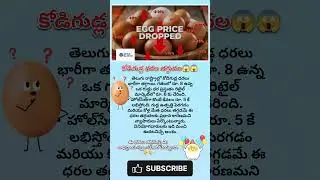 Egg price today 😱😱 #egg #chicken #food #pricedrop #shorts #viral #news #telugunews #telugu#telangana