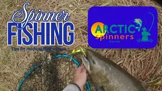 Spinner Fishing Tips for Catching King Salmon!