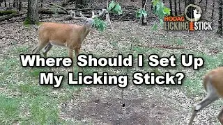 Do Licking Sticks Only Work in Food Plots? Deer Hunting Strategy and Trail Cameras!