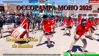 Recepción de bandas MI PERÚ/REAL MAJESTAD CONFRATERNIDAD MORENADA COMPADRES DE 𝐎𝐂𝐂𝐎𝐏𝐀𝐌𝐏𝐀 𝐌𝐎𝐇𝐎 𝟐𝟎𝟐𝟓