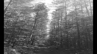 Natural anomaly