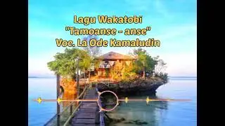 Lagu Wanci Wakatobi | Tamoanse-anse | La Ode Kamaludin |