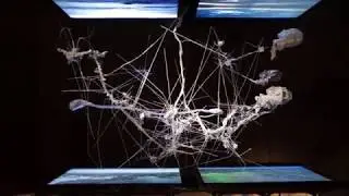 Substance and body / Тело и Вещество