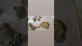 #leaf #making #plasterofparis #mold #moldmaking #patterns #clay #design #tools #artlife #artzone #do