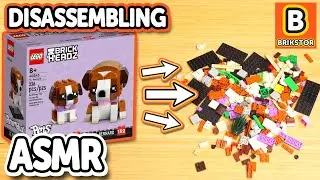 Relaxing LEGO ASMR Disassembling - LEGO St. Bernard & Puppy - Work, Relax, Sleep [ NO MUSIC ]