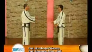 ORGANIZACION ARGENTINA DE TAEKWON-DO- TECNICAS DE 1 PASO O ILBO MATSOGI