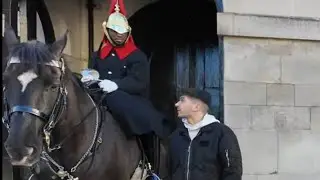 Man Walks Up to King’s Guard’s Horse — Instantly Reprimanded by the King’s Guard. 