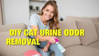 How to Remove Cat Urine Smell from Sofa Easy Step by Step