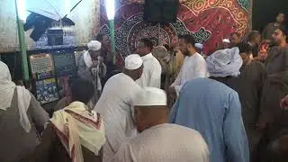 الشيخ محمود الصغير 4