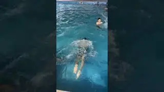 Fun Relaxation Summer Splash Chilling at the Pool #SwimmingPool #PoolFun #WaterActivities #PoolParty