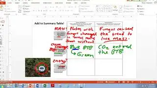 Evidence-Based Argument Tool: Decomposers