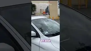 Голубь-дрон гадит на нарушителей ПДД! | Главные Новости