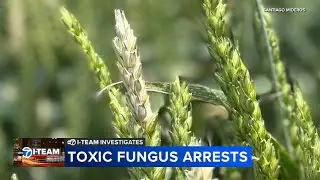Chinese nationals charged in smuggling cases, Illinois researcher weighs in on agroterrorism fears
