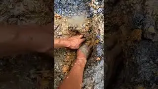 Got Gold from Charcoal | #satisfying #goldhunt #goldpanning #metaldetecting