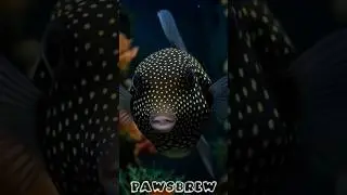 Beautiful Wild Animal Growth Transformation!
