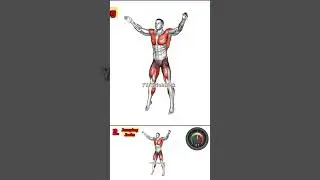 Jumping Jacks Exercise | #workout #shorts #krishnick