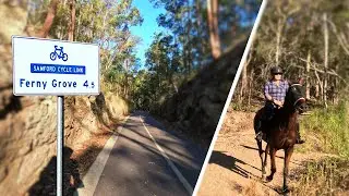 Downhill riding the Samford to Ferny Grove rail trail