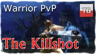 Guild Wars 2 - Warrior PvP Gameplay (Rifle - Greatsword) The Killshot!