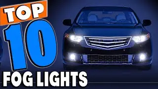 Top 10 Best Fog Lights Review in 2024