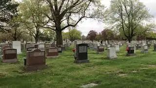 20 MINUTES OF *Graveyard sounds* ASMR HD 1080p
