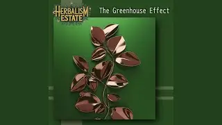 Seed to Stem Sounds