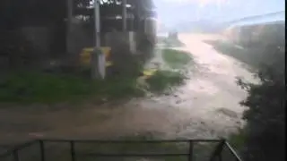 DSCN3700