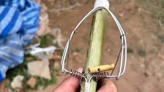 ວິທີ່ຄົດສະປິ່ງ ກັບດັກນົກ (สปริงกับดักนก)