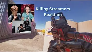 How Streamers React To A Champion