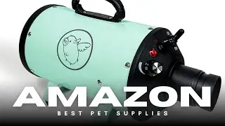 Groom Your Dog Like a Pro at Home! 🏠✂️ Flying Pig High Velocity Dryer Review 🐷