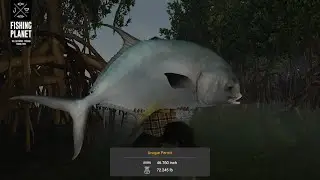 Unique Permit Guide At Blue Crab Island In Mississippi Fishing Planet