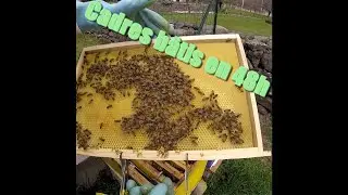 Cadres bâtis en 48h
