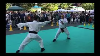 Tan Tao T'ui Pang Fa
