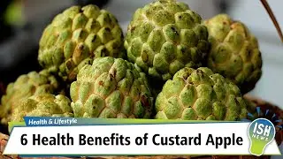 6 Health Benefits of Custard Apple