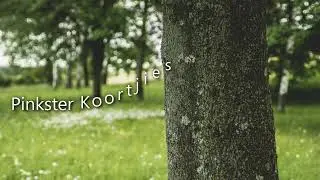 Pinkster Koortjies-Iemand sal bid vir jou-Groot en wonderbaar is hy