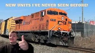(CP Heritage Unit 7017, CP 8781 Awesome Views, And More) Insane Railfanning at Woodbridge