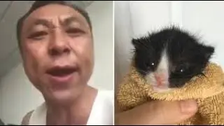 Angry chinese guy VS kitten roll: Battle for the 19 dollar fartnite card