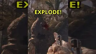 Самая странная пасхалка в Call Of Duty
