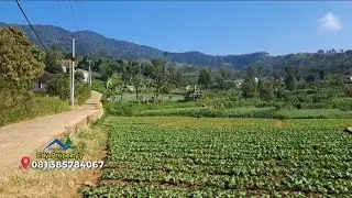 DI jual tanah monutain view  Ciloto Puncak 1,5 hektar 600.000 per meter / nego SHM 