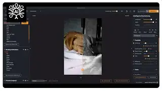 AI Workflow LIVE I Radiant Photo 2.1 I Pets Workflow
