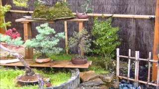 Mon Jardin Japonisant