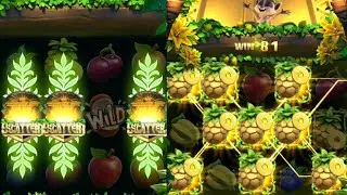 Yono Rummy Jungle Delight Gameplay 