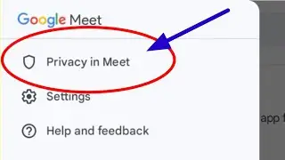 What is Privacy in Meet | Google Meet me Privacy in meet kya hota hai