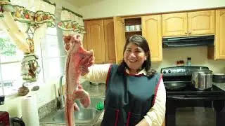 GARROBO/IGUANA Estilo Nicaragua en sopa de cola de res 🦎🦎🤤