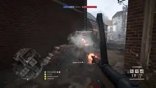Bf1 