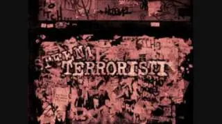 Steen1 - Terroristi