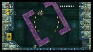 New Super Mario Bros. Wii - Star Coin Location Guide - World 3-Mid-Castle | WikiGameGuides