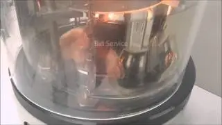 Bid Service Demo