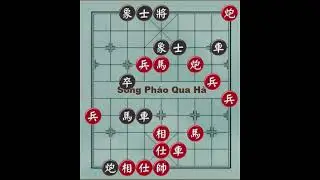 Chỉ vì quên nên lỡ tay mất luôn 2 con xe ván cờ quái dị
