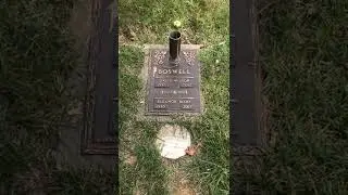Dave Boswell&rsquo;s Grave #shorts #baseball