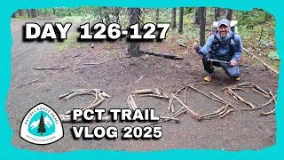 PCT 2025 Thru Hike | Day 126-127 | Mile 1995.2 to 2002.6 | I've Hiked 2,000 Miles!
